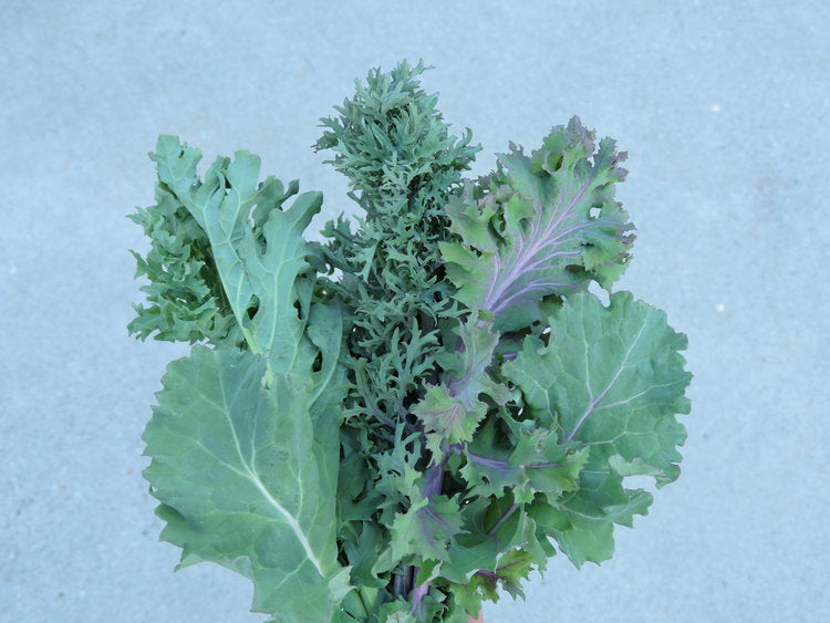 Kale